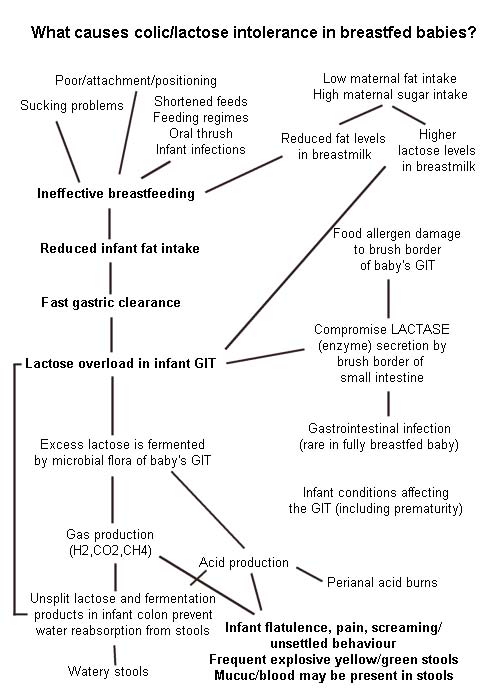 Colic Like Symptoms In Adults