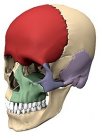 IH01: Anatomy & Physiology